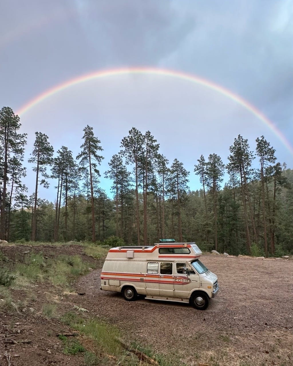 Retro campervan parked in a gravel carpark near woods